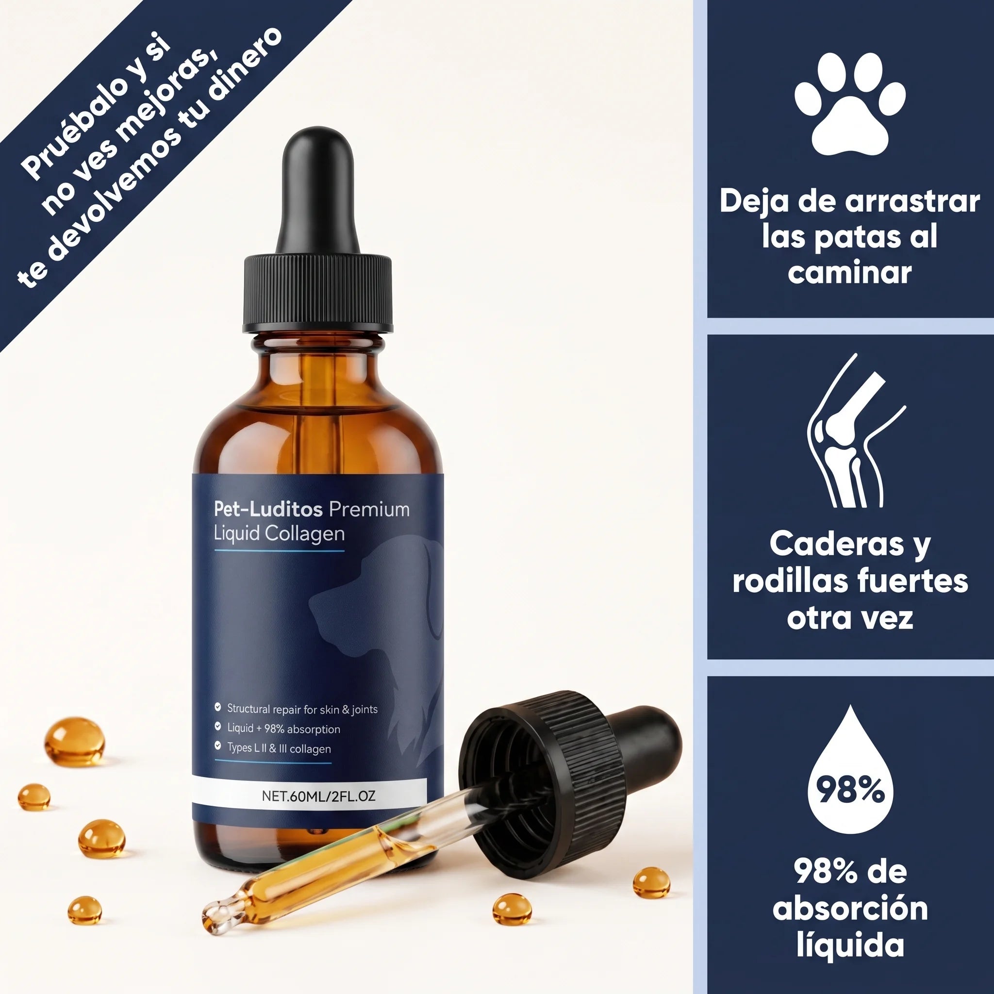 Colágeno Micro-Absorb Premium