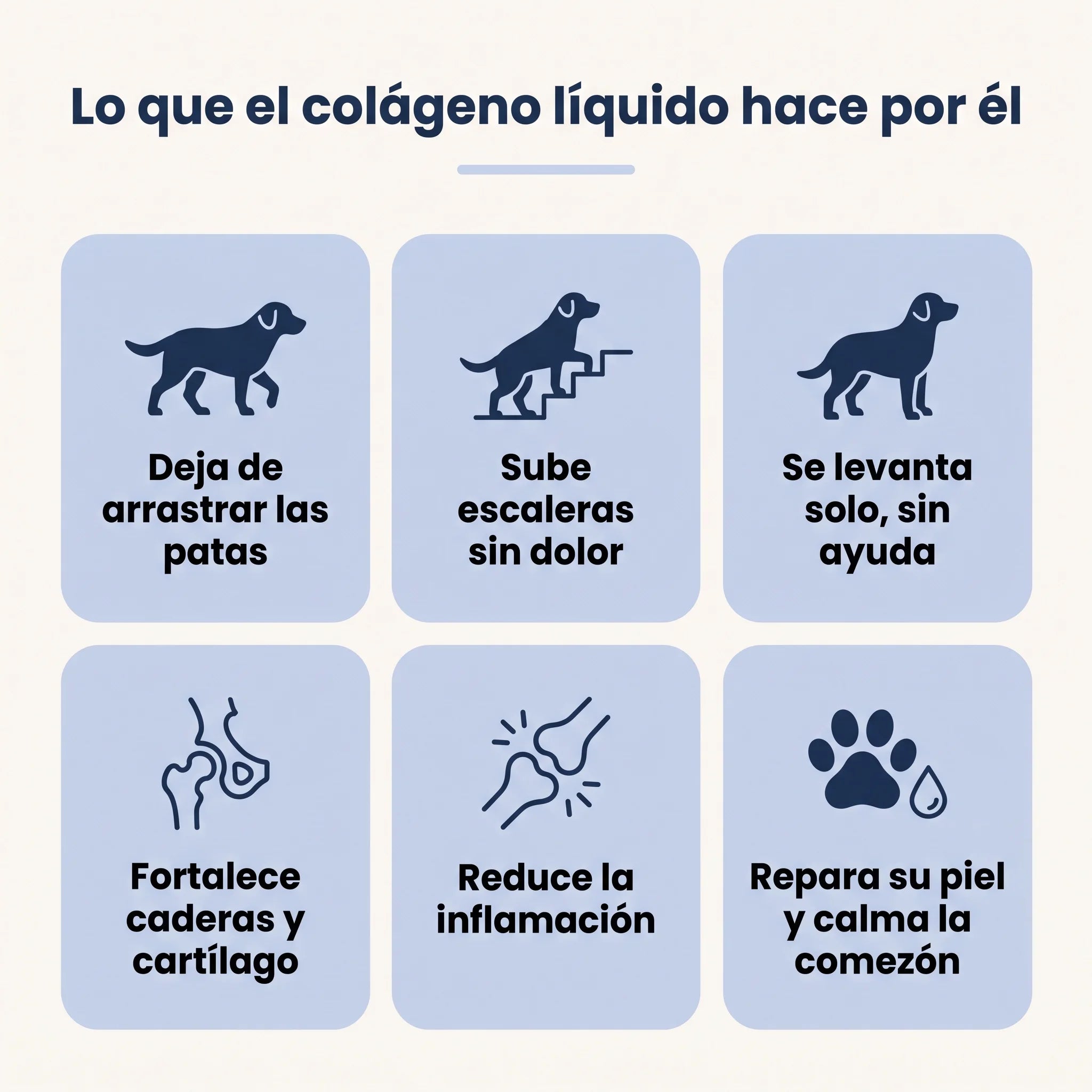 Colágeno Micro-Absorb Premium